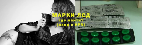 сатива Горно-Алтайск