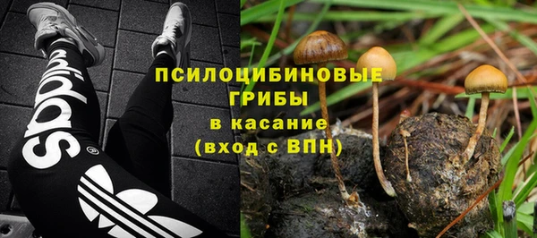 сатива Горно-Алтайск