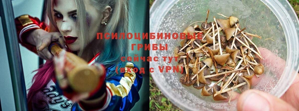 мескалин Горняк