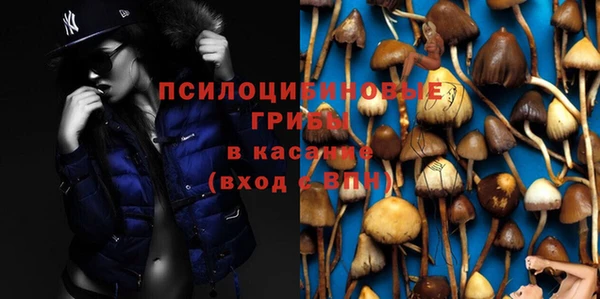 сатива Горно-Алтайск