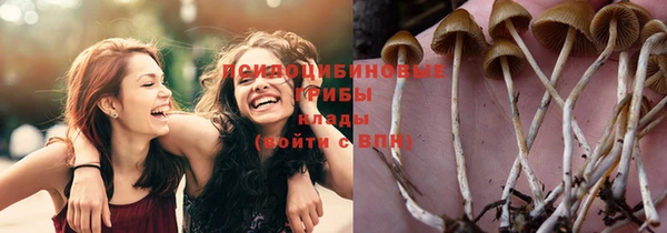 сатива Горно-Алтайск